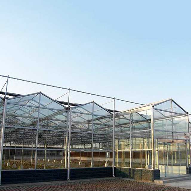 专业的玻璃温室大棚推荐，江苏玻璃温室大棚安装