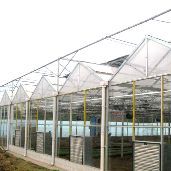 玻璃温室专业设计建造|江苏玻璃温室