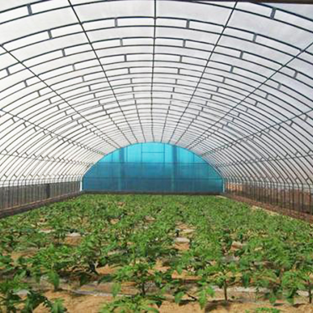 河南高温蔬菜大棚整地施肥贴士