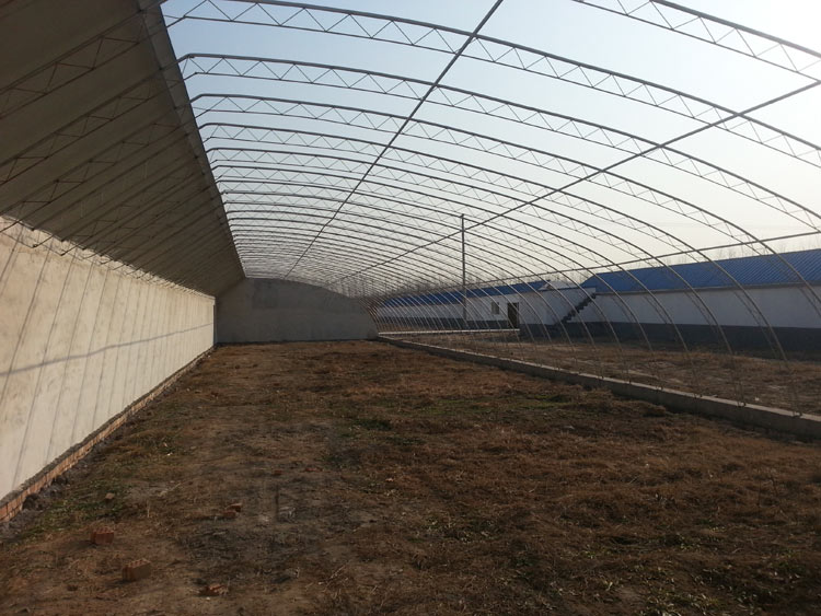 日光温室建造多少钱一平方-潍坊日光温室大棚厂家