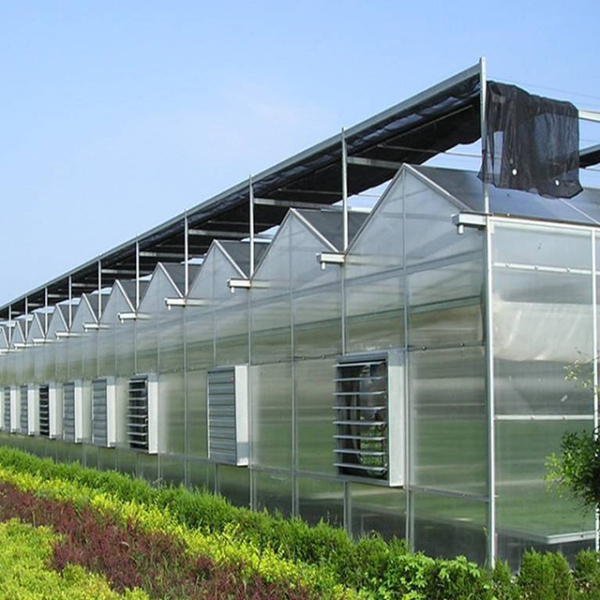 为什么选择建造连栋温室大棚的越来越多了？