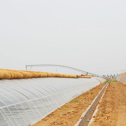 内蒙日光温室建设造价-日光温室建设就找德坤农业设备