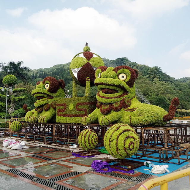 广西五色草，口碑好的五色草市场价格