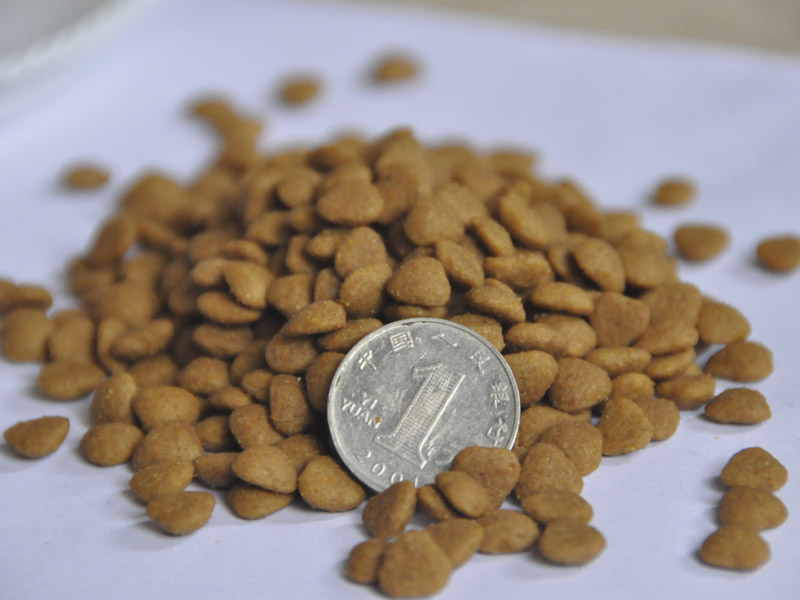 江蘇寵物干糧價格|可信賴的寵物糧食公司