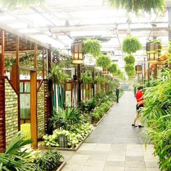 生态餐厅温室大棚种植蔬菜有何优点？