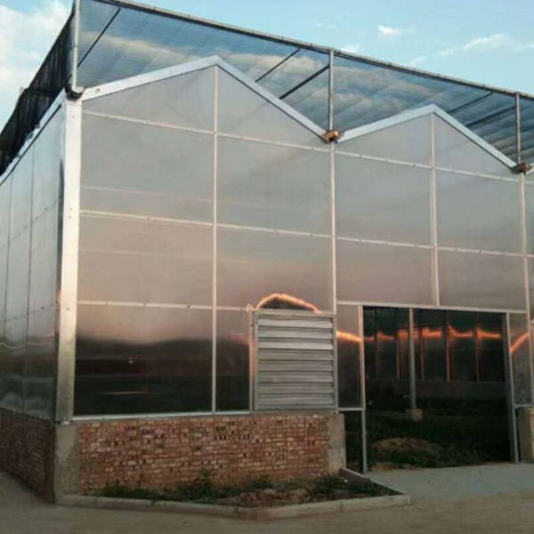 阳光板温室设计