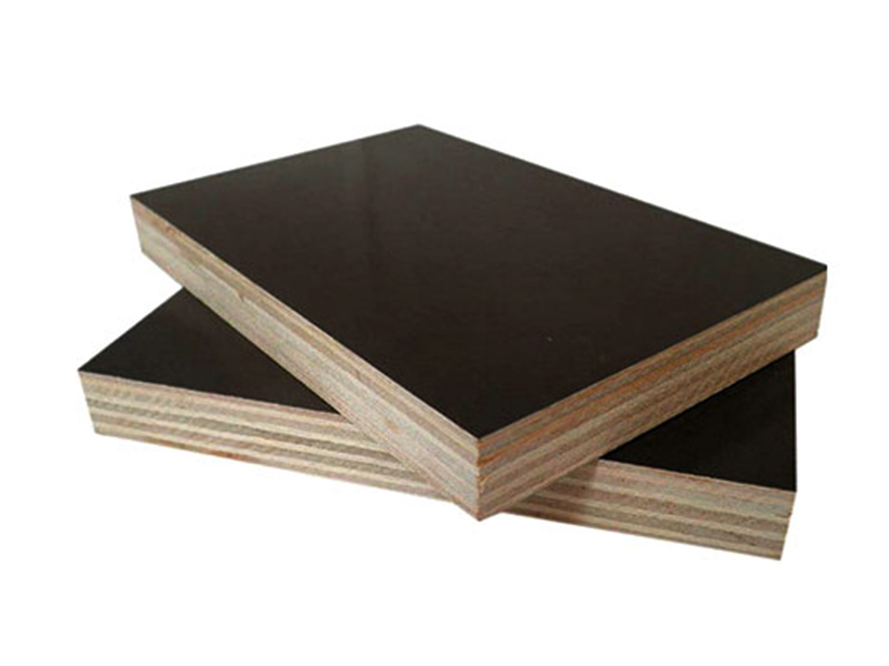 建筑模板黑板提供商-山东黑建筑模板