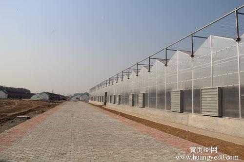 山东创新型的阳光板温室，湖南阳光板温室承建
