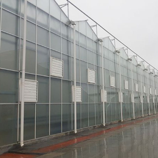文络温室设计公司谈温室通风注意事项