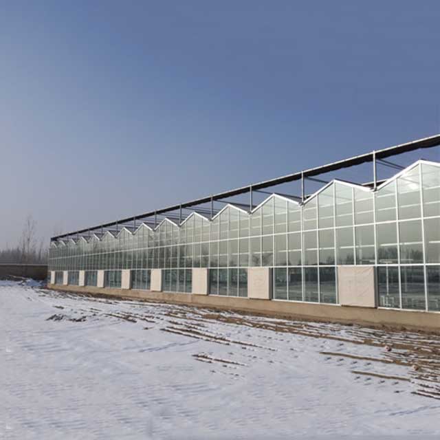 供应山东超值的玻璃温室大棚-东营玻璃温室大棚安装