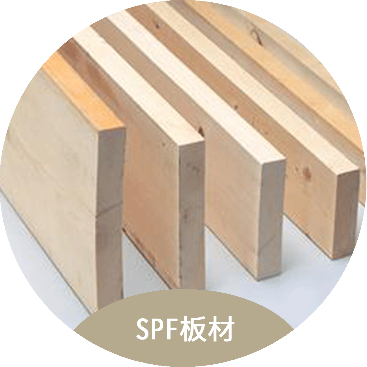 福州实惠的SPF板材出售|环保SPF板材