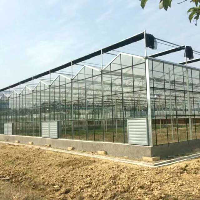 四川玻璃温室大棚设计|沂南县宏伟农机提供专业的玻璃温室大棚
