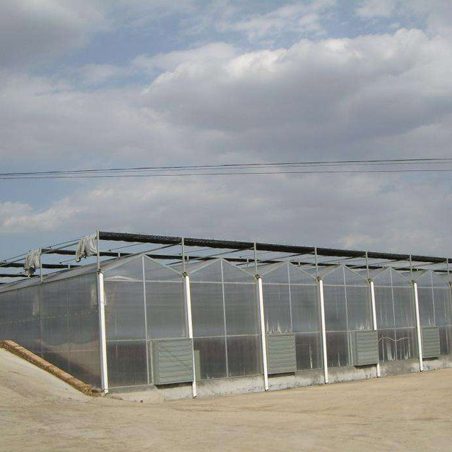 阳光板温室建造费用 四川阳光板温室报价