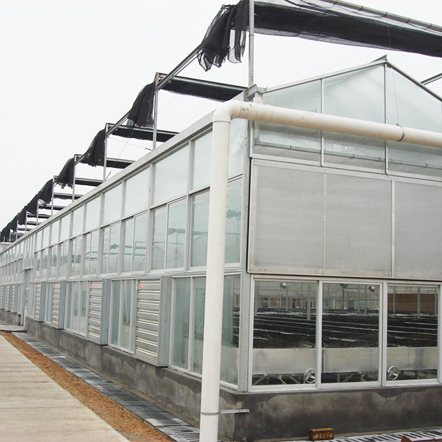 文络温室建造商分享降低玻璃连栋温室温度的办法